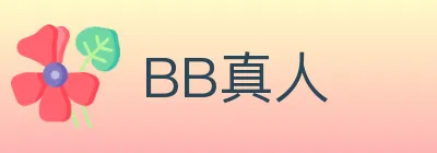 BB真人 logo